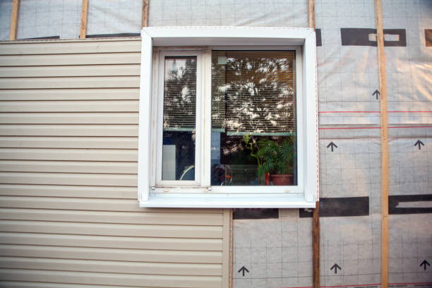 Best Siding Removal and Disposal  in Vinton, IA